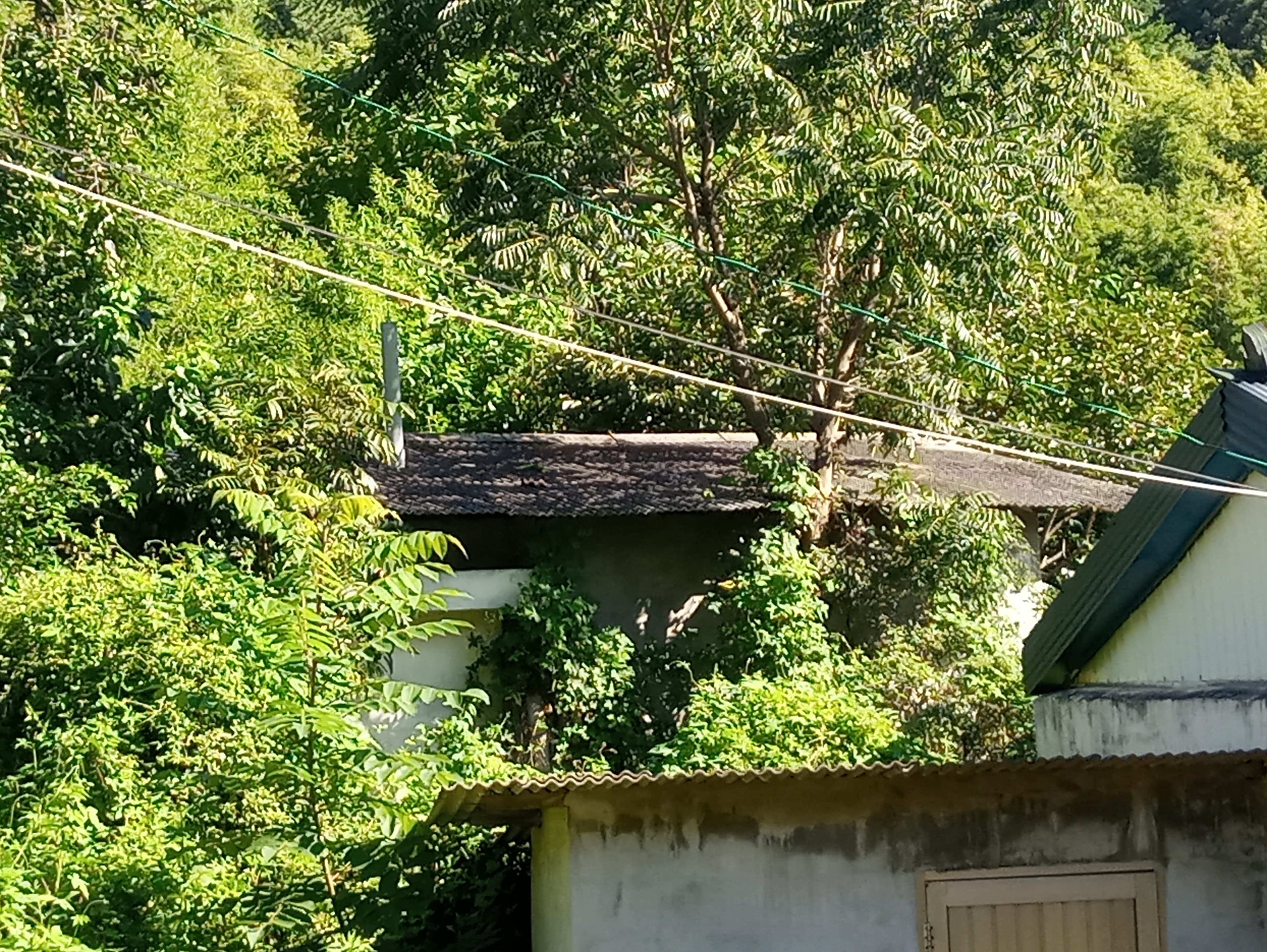 Rural House in Damyang